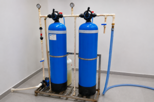 DIMENRALIZATION PLANT (DM)